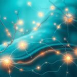 what receptors are stimulated during a massage