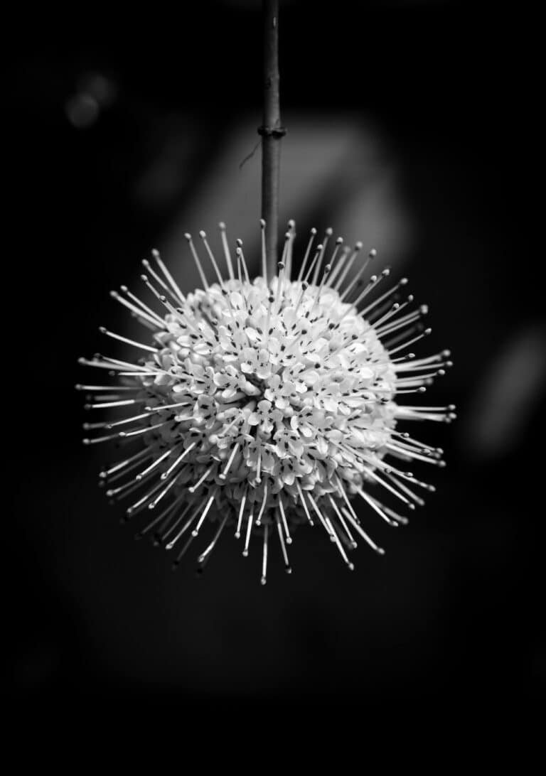 Top 3 Massage Balls Set Review