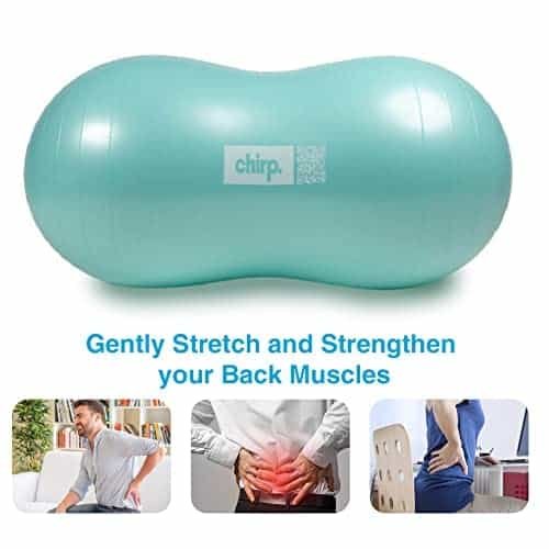 Chirp Cloud Peanut Mobility Ball for The Back, Physical Therapy Massager for Adults, Exercise Balance Ball, Sensory Therapy Toys for Autism  ADHD - 2 Pack (Mint 100x50cm, Black 60x30cm
