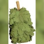 Best Russian Massage