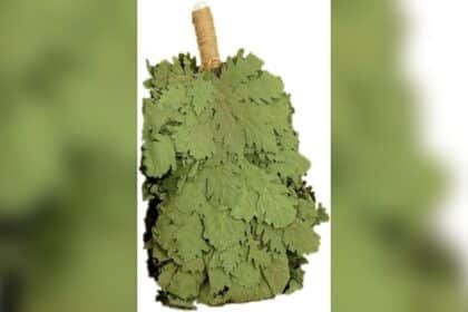 Best Russian Massage