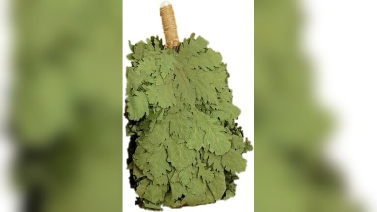 Best Russian Massage