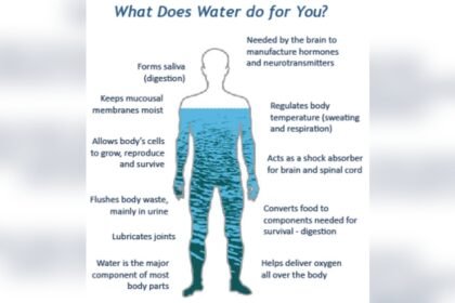 Why to Drink Water After a Massage