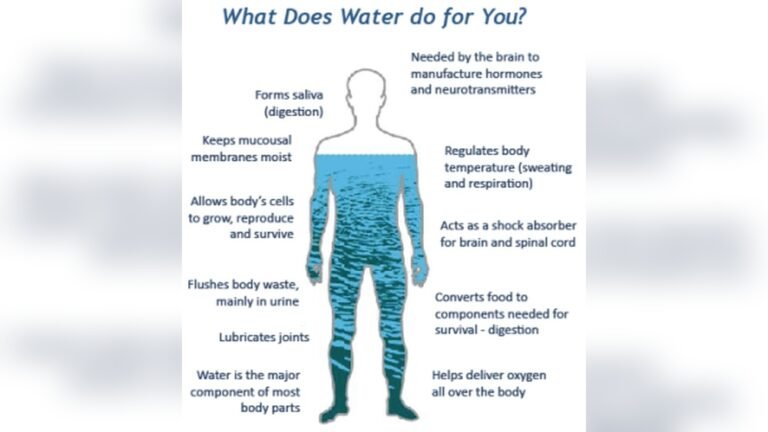 Why to Drink Water After a Massage