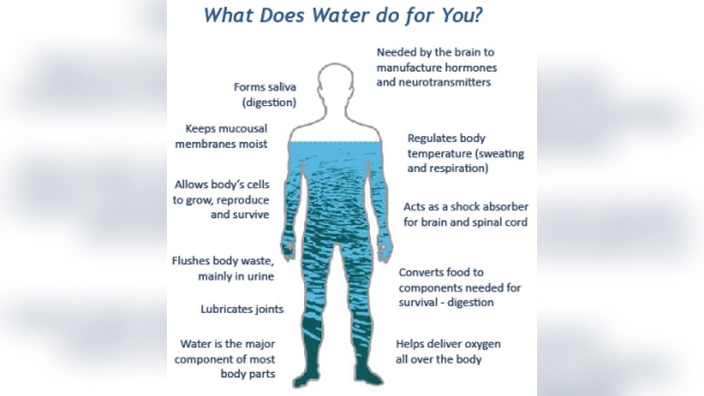 Why to Drink Water After a Massage