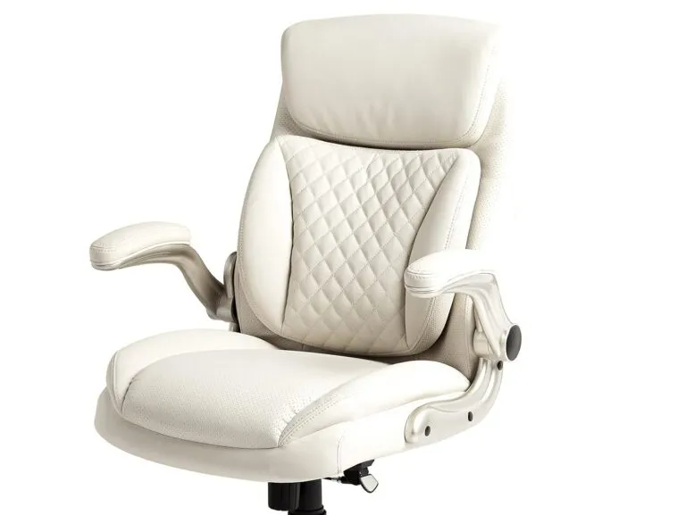 Amazon Basics Ergonomic Desk Office Chair Review