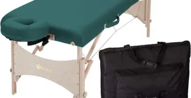 Earthlite Portable Massage Table Harmony Dx Foldable Physiotherapytreatmentstretching Table Eco Friendly Design Hard Map