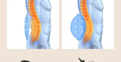 Massage Seat Cushion With 3d Lumbar Traction Review