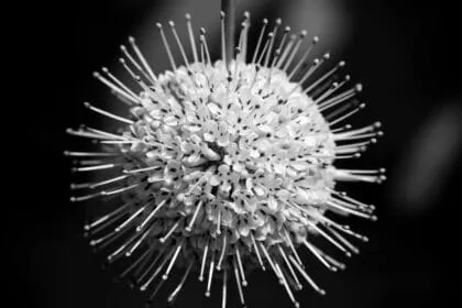 Top 3 Massage Balls Set Review