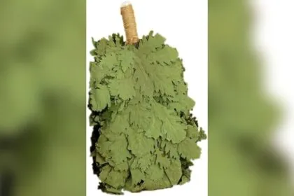 Best Russian Massage