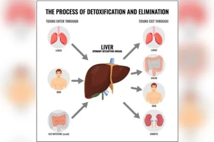 Can a Massage Release Toxins