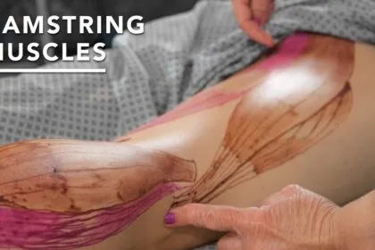 How to Massage Hamstrings