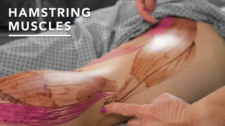 How to Massage Hamstrings