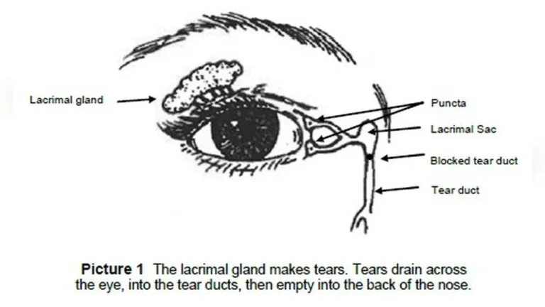 How to Massage Tear Duct